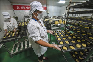 安平 高端食品机械制造受欢迎